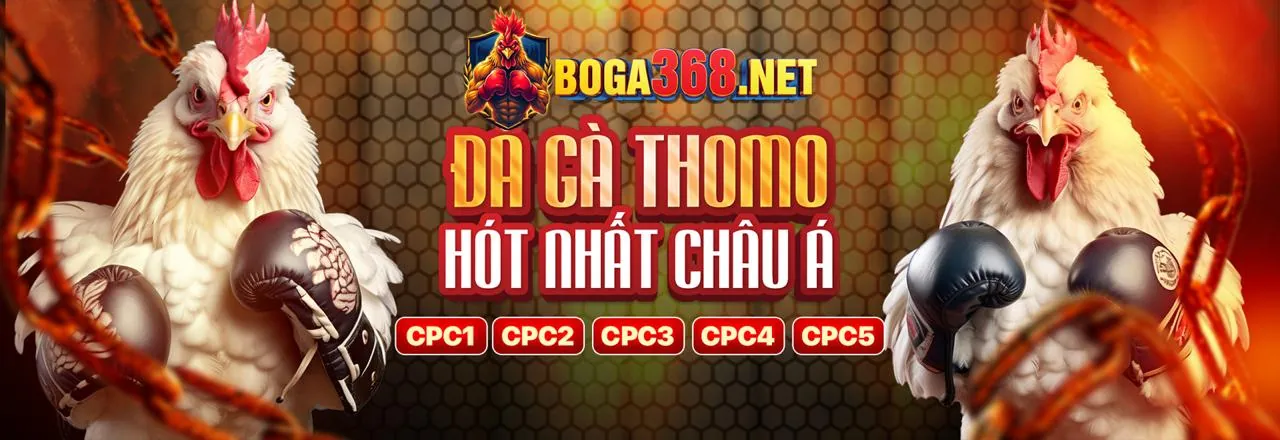 Sân vận động thể thao rực rỡ, biểu tượng cá cược b66 login